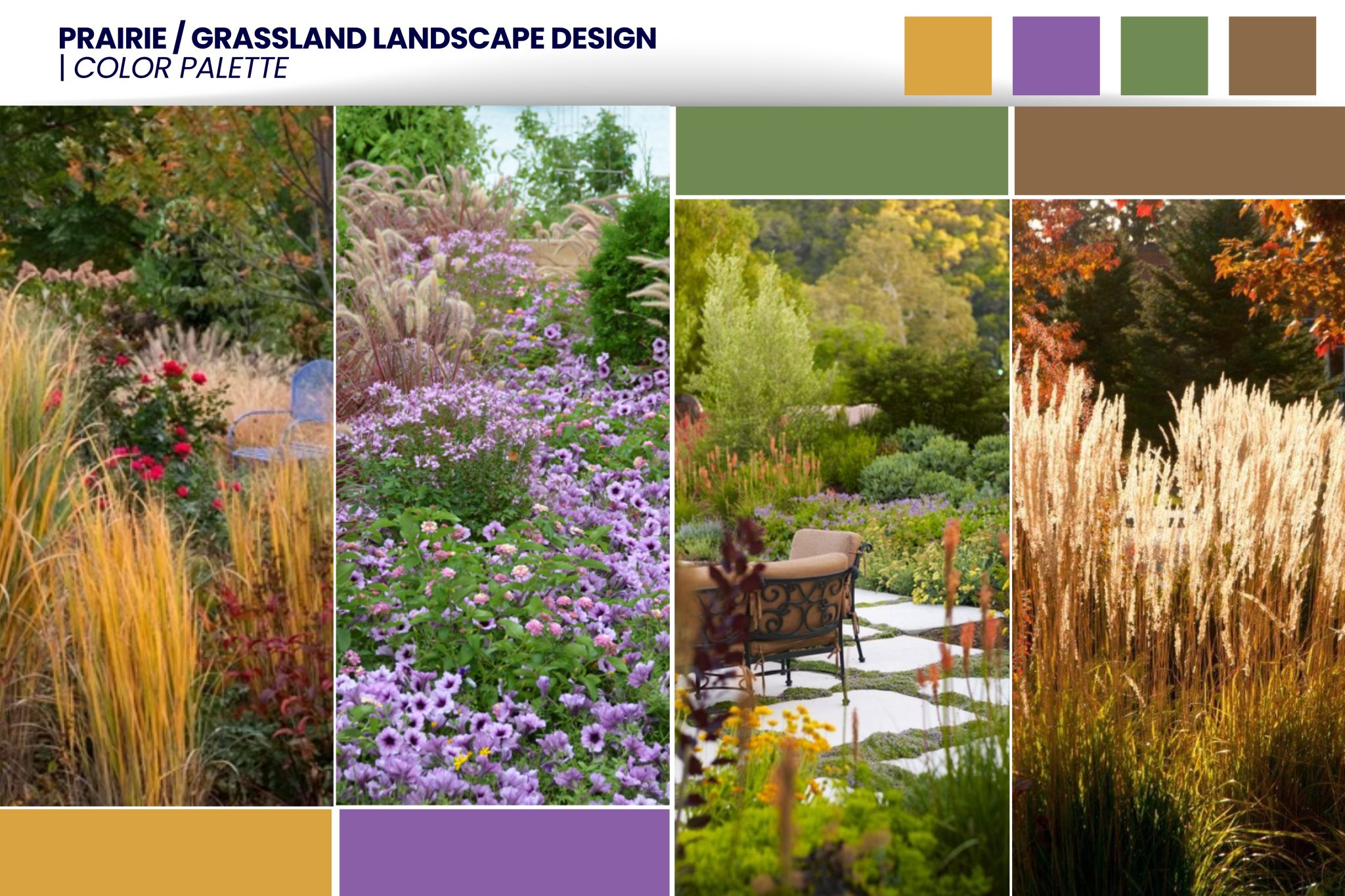 Prairie Color Prairie & Grassland Landscape Design: Natural Outdoor Inspiration